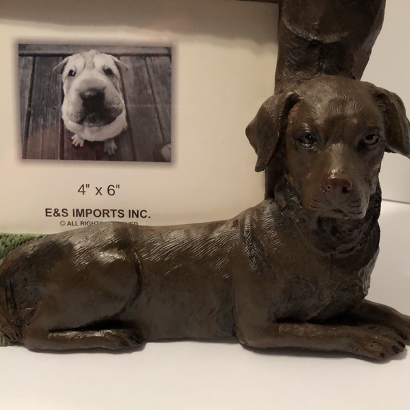 Three 3D Chocolate Labs 4” x 6” Picture Frame - Picture 6 of 9